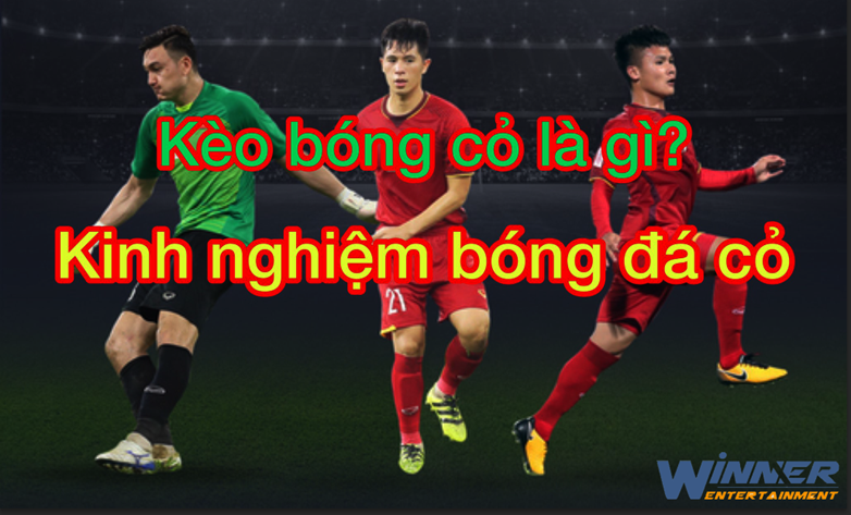 Vượt chướng ngại vật trên cỏ (Hình 2)