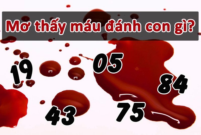 Bạn có chắc mô hình của bạn là tốt hay xấu? Giá khi có được quyền sở hữu hộp mẫu là bao nhiêu