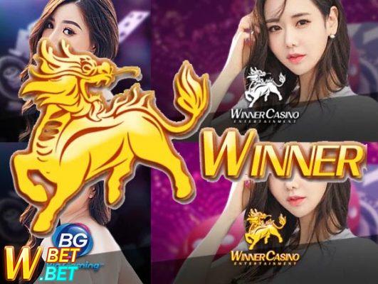 live casino winner