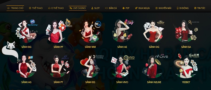 nhà cái h3bet