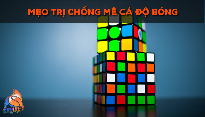 mẹo cho các ông chồng mê cá độ bóng đá
