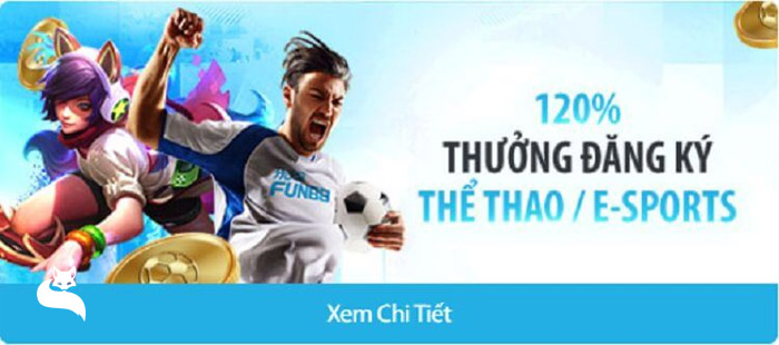 hướng dẫn cá cược thể thao