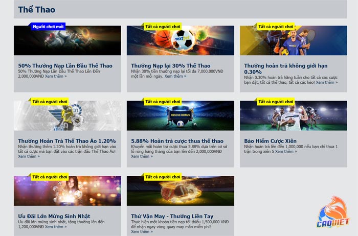 liên kết tới nextbet