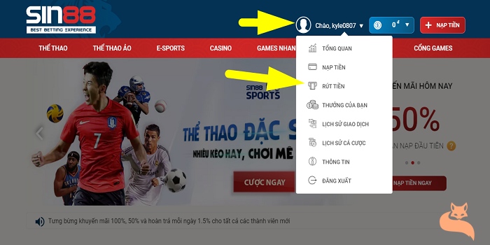 liên kết sin88