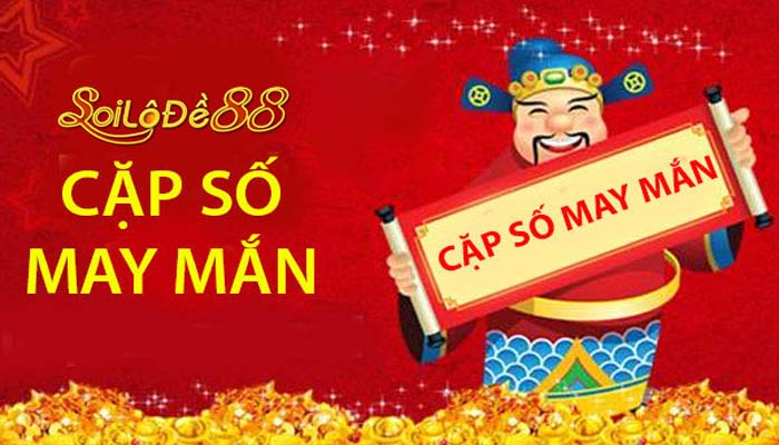 84 Bộ Lô Cơ Bản và Nâng Cao để Nuôi Hiệu Quả Hàng Ngày
