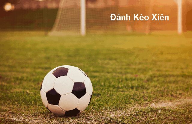 sự chữa bệnh
