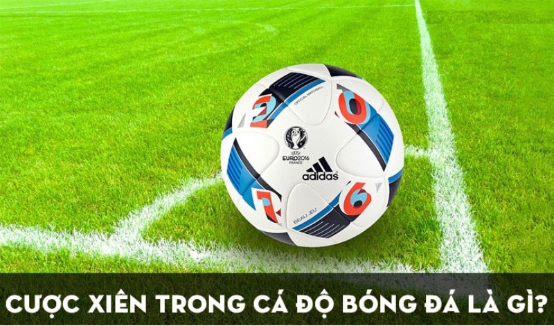 sự chữa bệnh