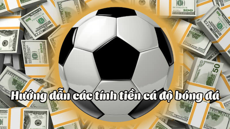 Tìm hiểu cách tận dụng tối đa số tiền của bạn với các giải thích và chỉnh sửa chi tiết