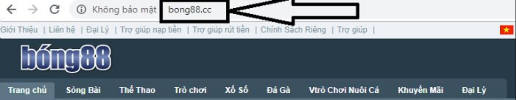 nhà giả dạng bong88