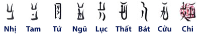 Hàng trong chắn