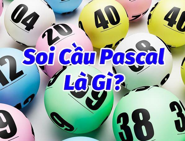 Tìm kiếm của Pascal là gì? Thống kê và Xổ số Pascal Miền Bắc, Miền Trung, Miền Nam