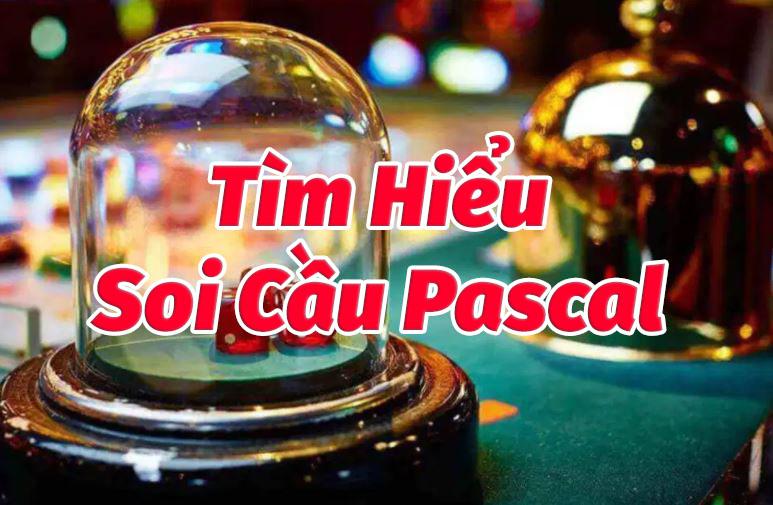 Tìm kiếm của Pascal là gì? Thống kê và Xổ số Pascal Miền Bắc, Miền Trung, Miền Nam