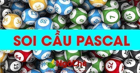 Tìm kiếm miền Pascal 3 rất đơn giản và dễ hiểu