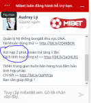 Hé lộ nhà cái Mibet lừa đảo hàng trăm triệu rupiah 9