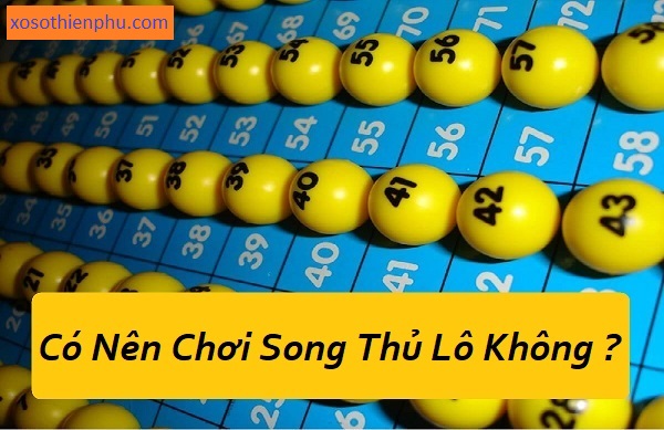 Tôi chơi song thủ lô