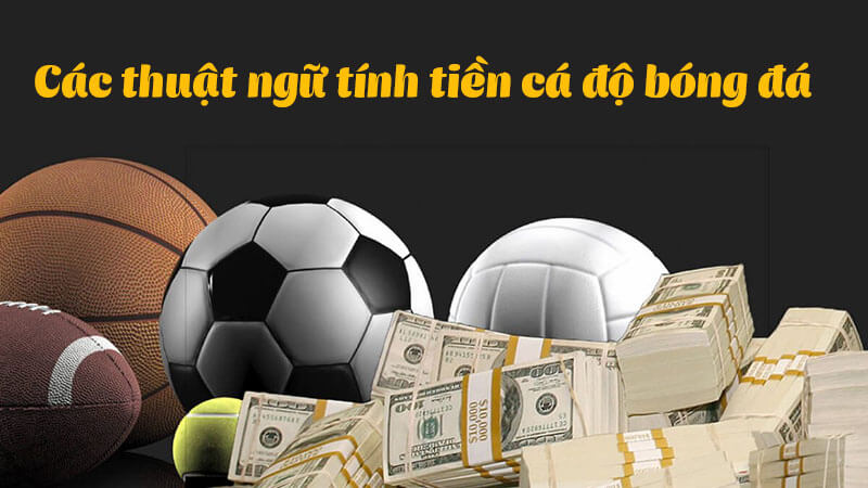 Các thuật ngữ cơ bản cần biết