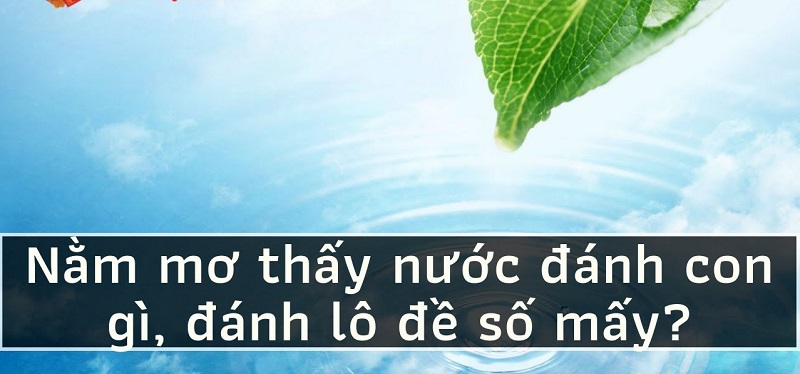 Nằm mơ thấy nước là số mấy?