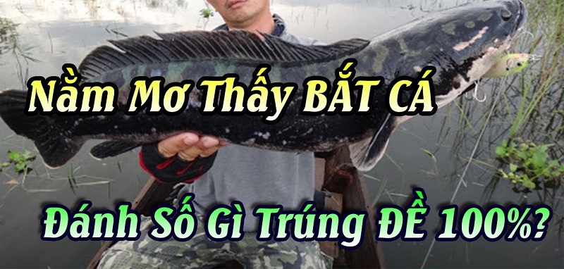 Nằm mơ thấy bắt cá đánh con gì?