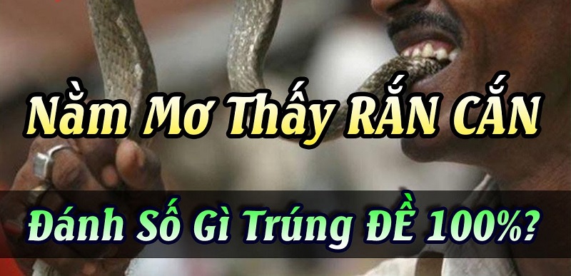 Tại sao mơ thấy rắn cắn bạn?
