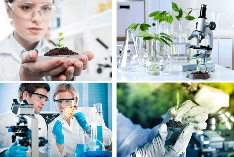 Các lĩnh vực của công nghệ sinh học là gì?