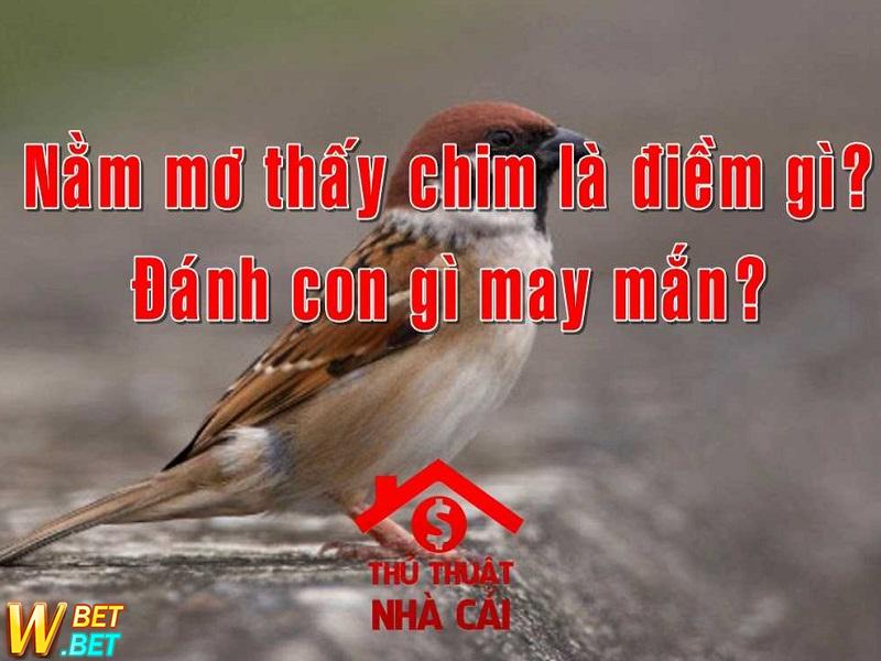 giấc mơ thấy chim số gì