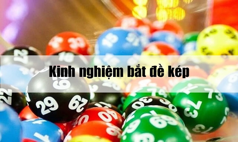 bắt câu hỏi về đôi đầu cùn, đuôi cùn