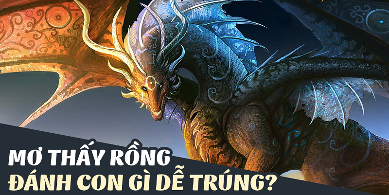Bạn mơ thấy rồng đen vào ngày tháng năm nào?
