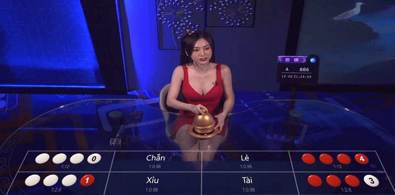 Quy tắc và cách chơi xúc xắc trong cuộc sống thực