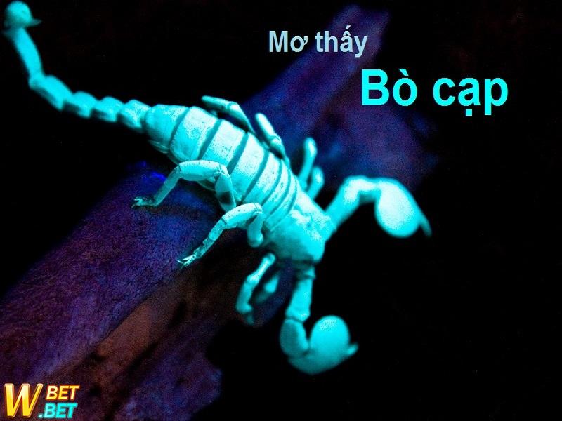 giấc mằm mơ thấy bọ cạp