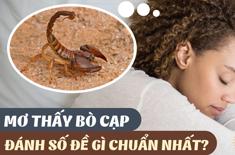 Nằm mơ thấy bọ cạp đánh số đề con gì?