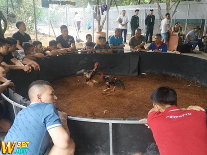 Phá ổ gà lấy tiền, thu giữ hơn 200 triệu đồng