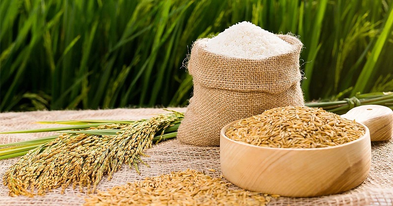 Tại sao lại mơ thấy đánh bạc ăn cơm? Số gạo là bao nhiêu?