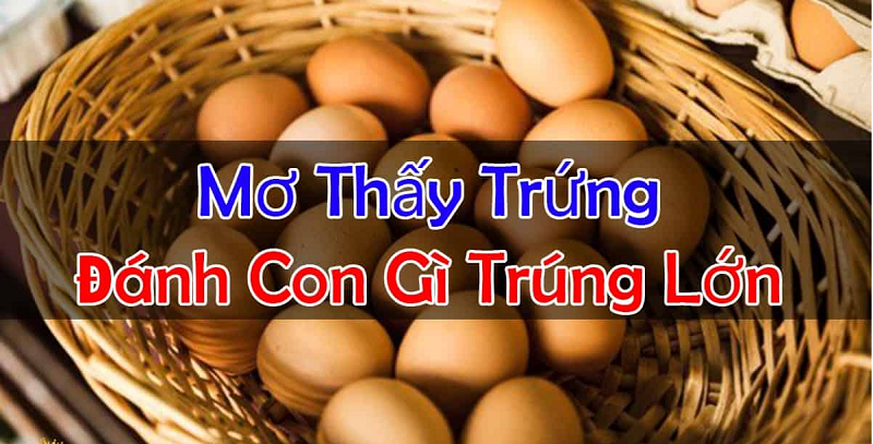 Tại sao mơ thấy trứng gà bị vỡ?