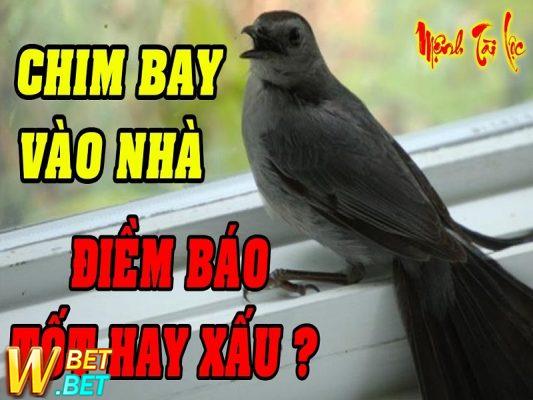 Giấc Mơ thấy chim bay vào nhà