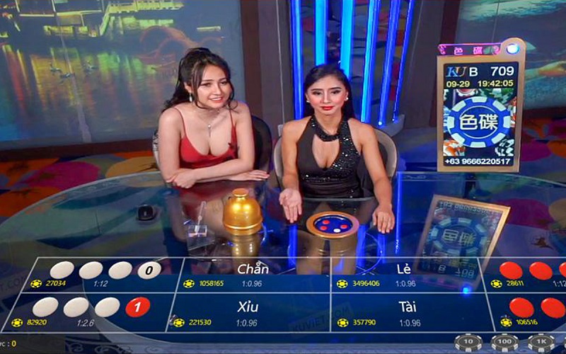 Chỉ cần tập trung vào trò chơi một cửa