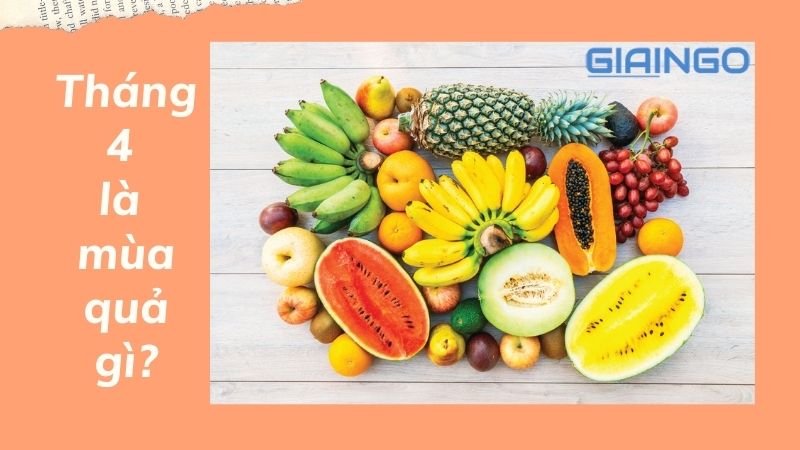 Tháng 4 mùa quả gì?