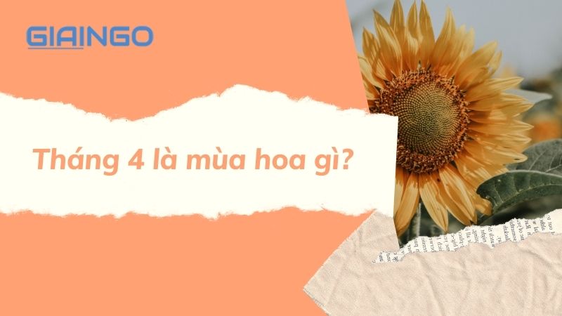 Tháng 4 mùa hoa gì?