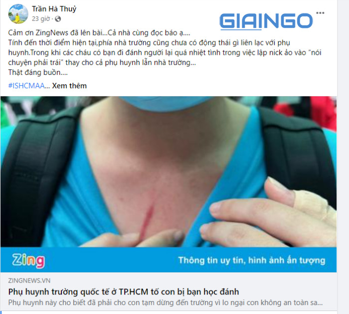 Tui Bi là phụ huynh của một trường quốc tế tại TP.HCM. HCM tố cô bị bạn đánh