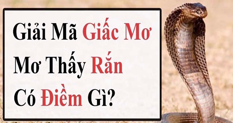Nằm mơ thấy rắn cắn vào chân là điềm báo gì.