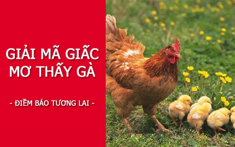 giải thích giấc mơ gà