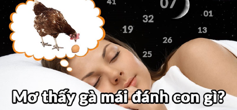 Nằm mơ thấy con gà đánh con gì?