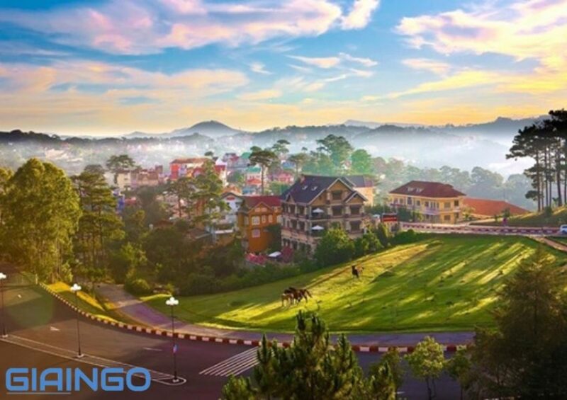 Thời điểm nào đẹp nhất trong năm ở Đà Lạt?