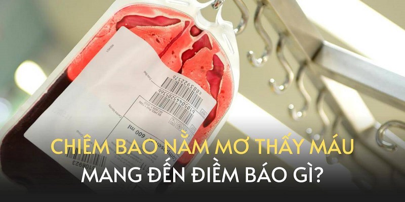 Máu giải đoán giấc mơ