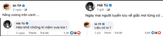 Thiều Bảo Trâm là ai?