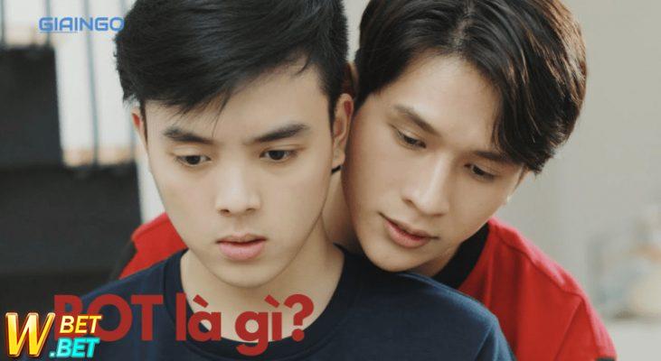 Bot và Top (Trong LGBT)