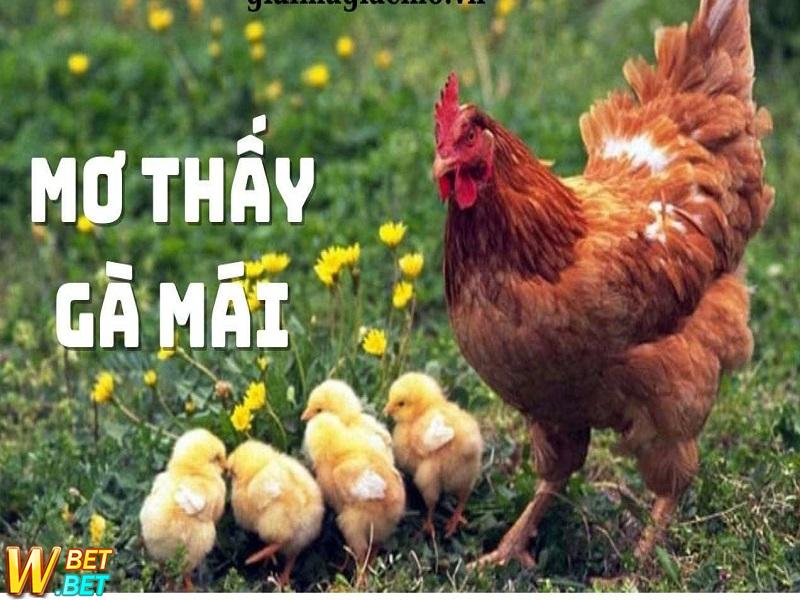 giấc mơ thấy con gà