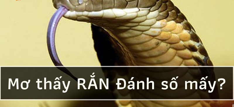 Nằm mơ thấy rắn cắn vào chân là điềm báo gì?