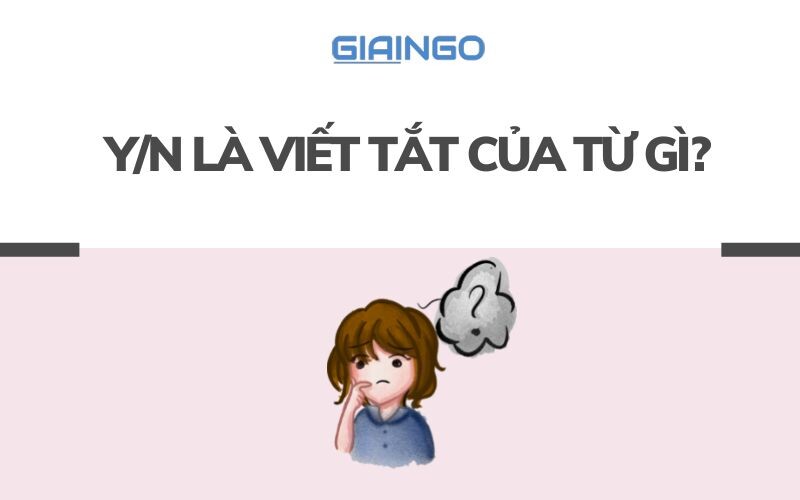 Y / n có nghĩa là gì?