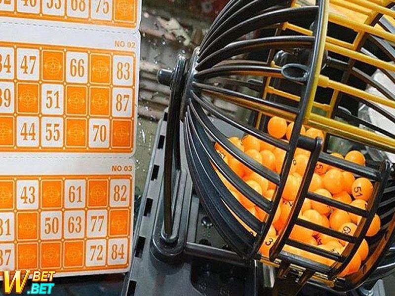 Cách Chọn Cầu Bạch Thủ Lô