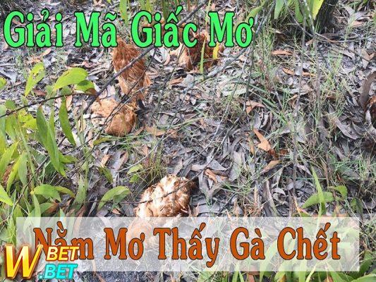 giấc mơ thấy gà chết